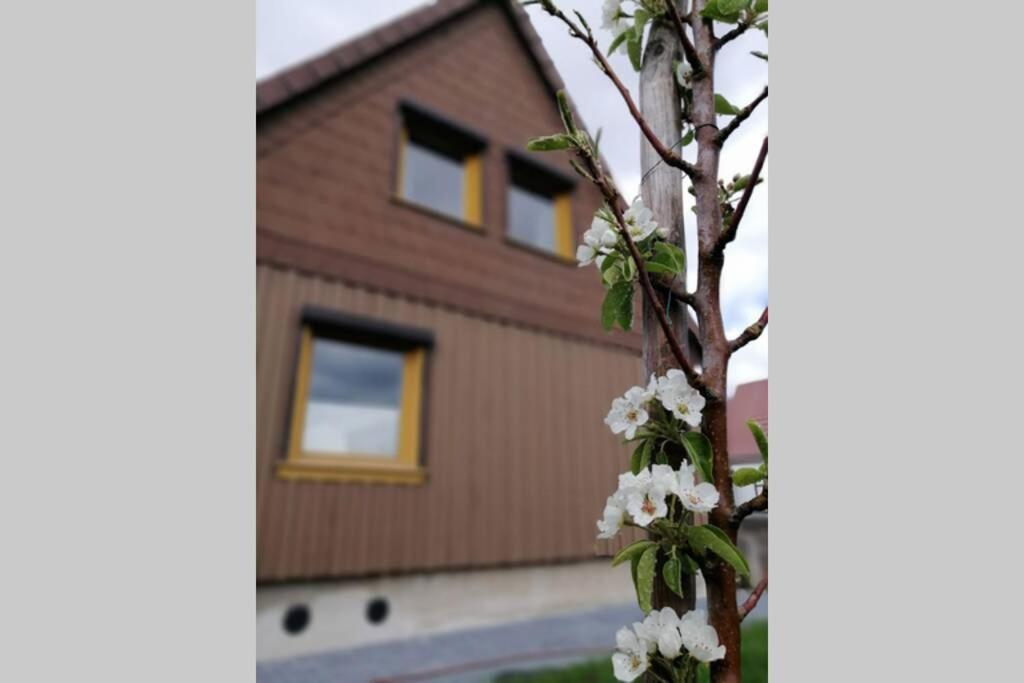 엘빙거로드 Harzhaus Ida 빌라 외부 사진